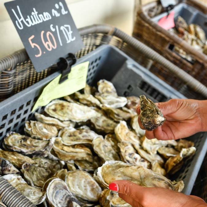 Les Huîtres, qui cale à Cancale ? - Cultur'easy